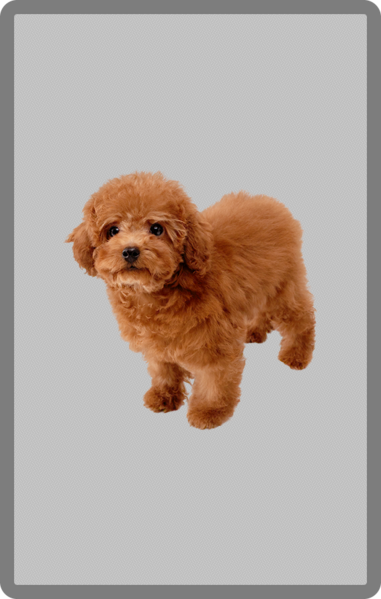 File:SSBO Toy Poodle card.png